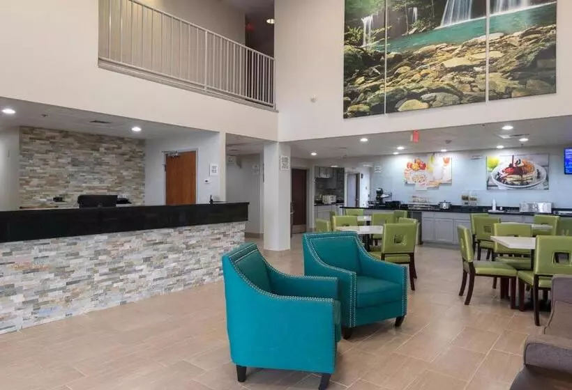 身障者適用キングサイズベッドルーム, Quality Inn & Suites