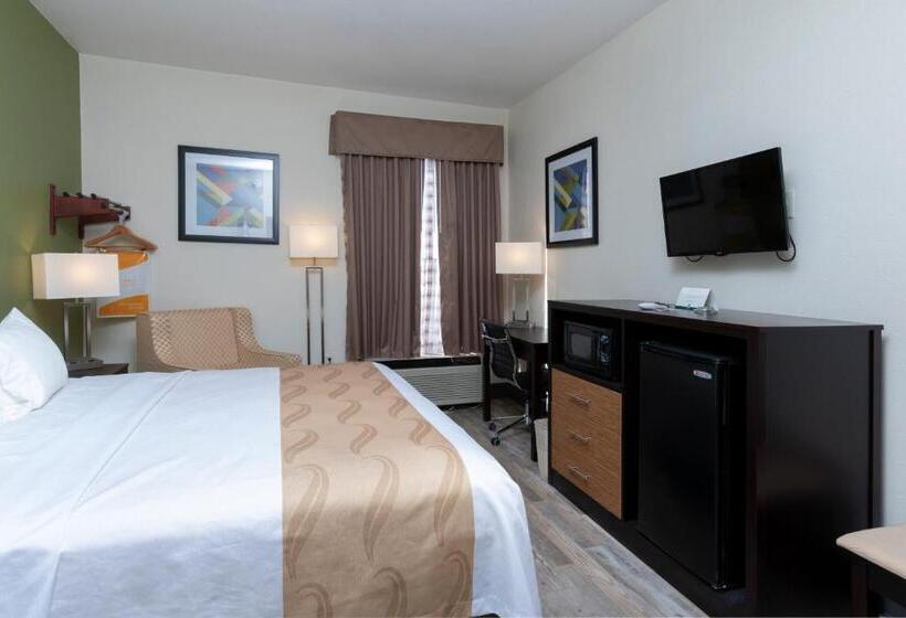 장애인을 위한 킹사이즈 침대 스탠다드 룸, Quality Inn & Suites