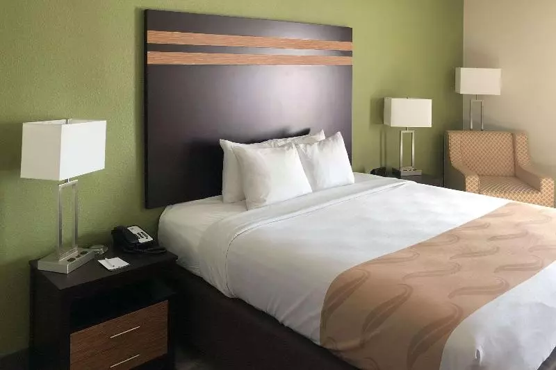 キングサイズベッドのスタンダードルーム, Quality Inn & Suites