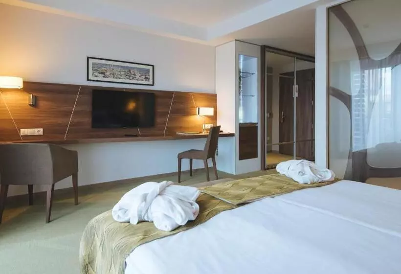 プレミアムルーム, Imola Hotel Platán