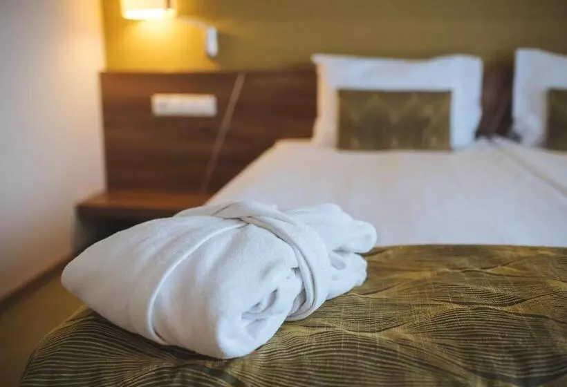プレミアムルーム, Imola Hotel Platán