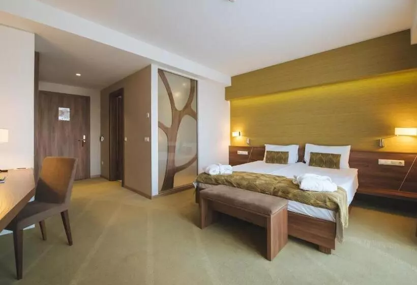 プレミアムルーム, Imola Hotel Platán