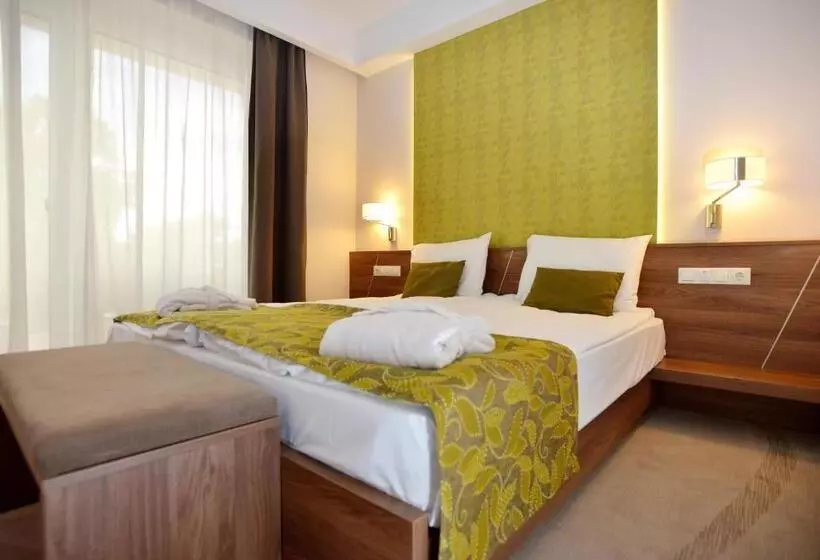 プレミアムルーム, Imola Hotel Platán