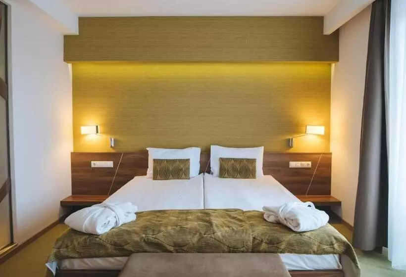 スタンダードインサイドビュールーム, Imola Hotel Platán