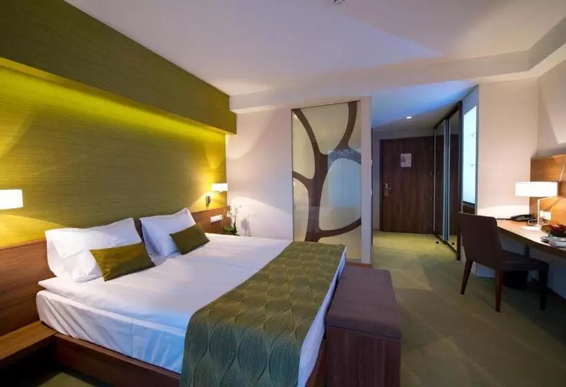 スタンダードインサイドビュールーム, Imola Hotel Platán