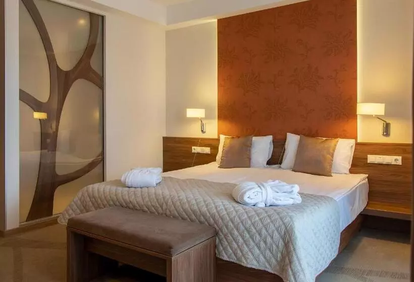 スタンダードインサイドビュールーム, Imola Hotel Platán