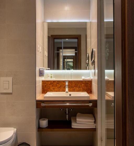 غرفة قياسية داخلية, Imola Hotel Platán