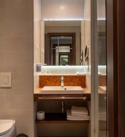 スタンダードインサイドビュールーム, Imola Hotel Platán