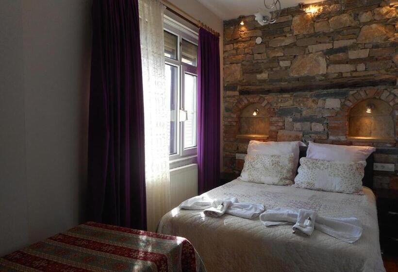 شقة إقتصادية غرفة واحد, Lale Pension