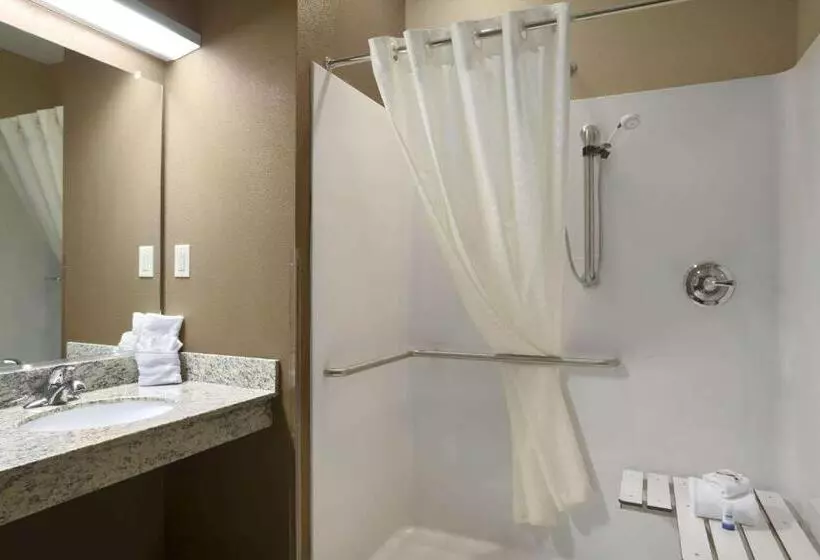 身障者適用スイートルーム, Sonesta Essential Fairmont