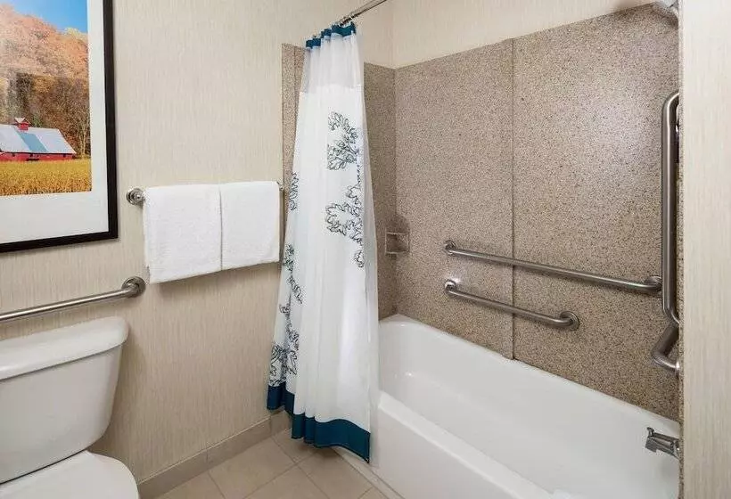 身障者適用スイートルーム, Residence Inn South Bend Mishawaka