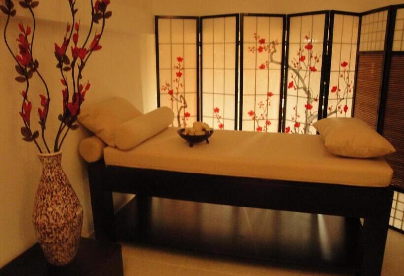 آپارتمان لوکس 1 خوابه, Aleksandar Villa & Spa