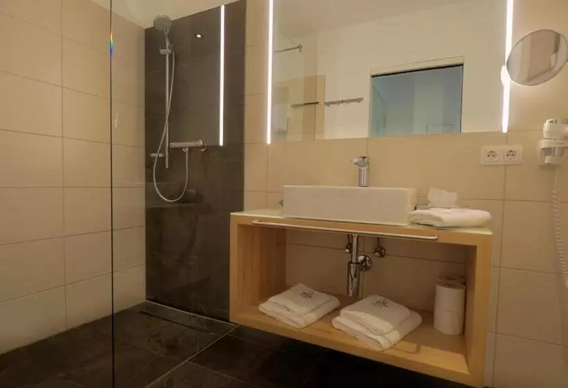 １ベッドルームアパートメント, Aparthotel Alpinresort Damüls