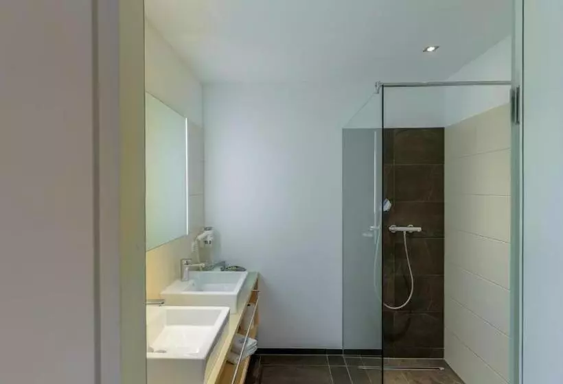 １ベッドルームアパートメント, Aparthotel Alpinresort Damüls