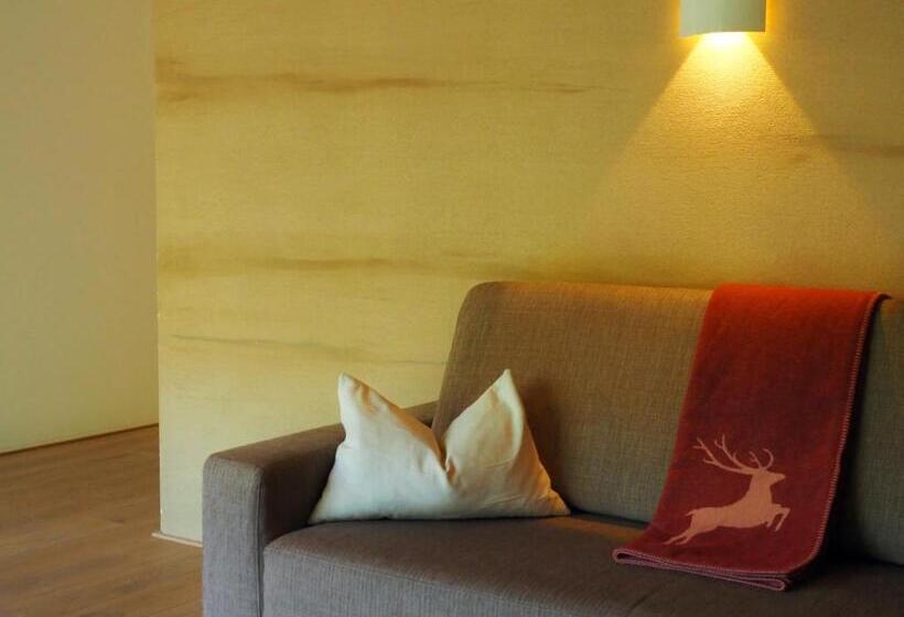 带2个卧室的高级公寓, Aparthotel Alpinresort Damüls