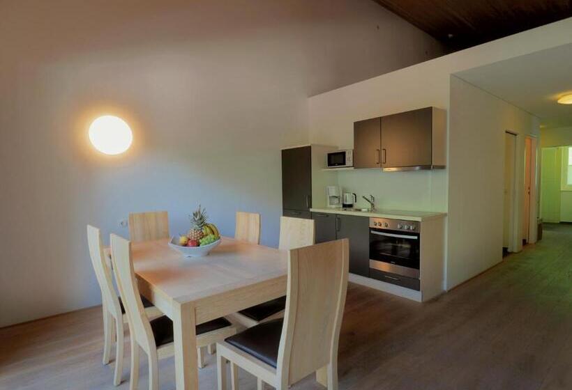 带2个卧室的高级公寓, Aparthotel Alpinresort Damüls