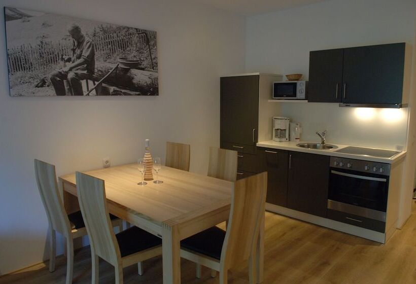 带2个卧室的高级公寓, Aparthotel Alpinresort Damüls