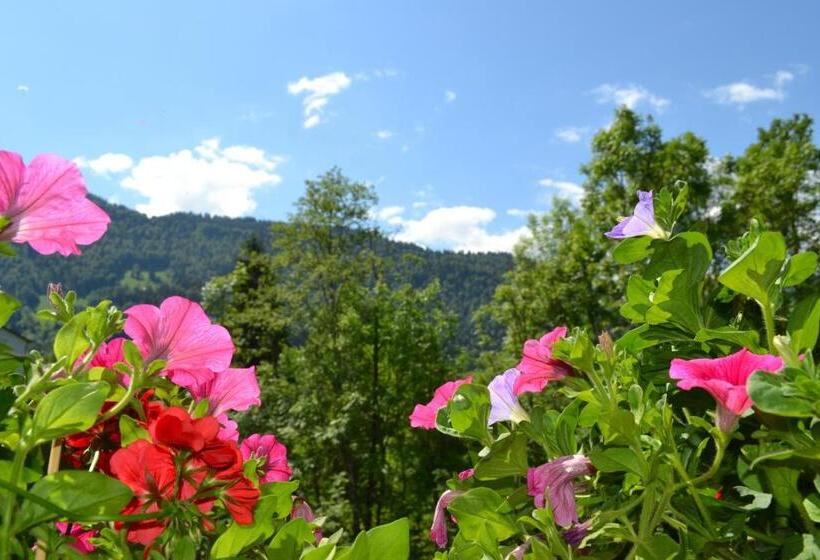 غرفة قياسية مزوَّدة بشُرفة, Gästehaus Pension Barbara