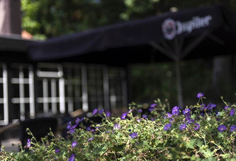 חדר סטנדרט יחיד, De Hoeve Van Nunspeet