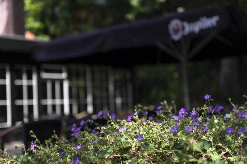 חדר סטנדרט יחיד, De Hoeve Van Nunspeet