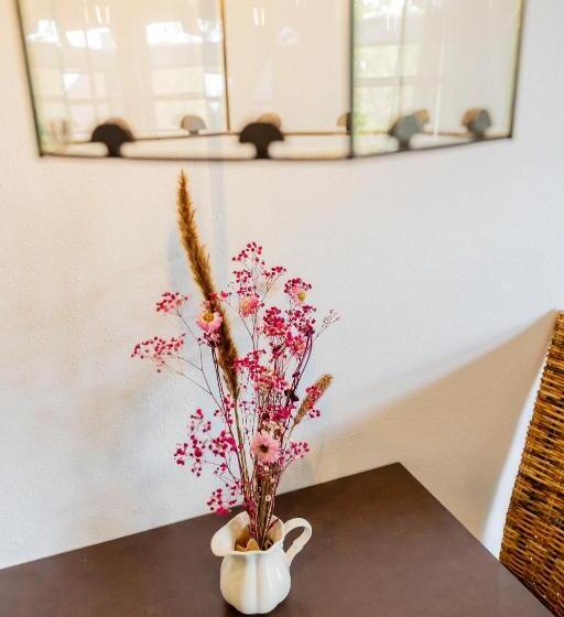 套房带园景, De Walvisvaarder