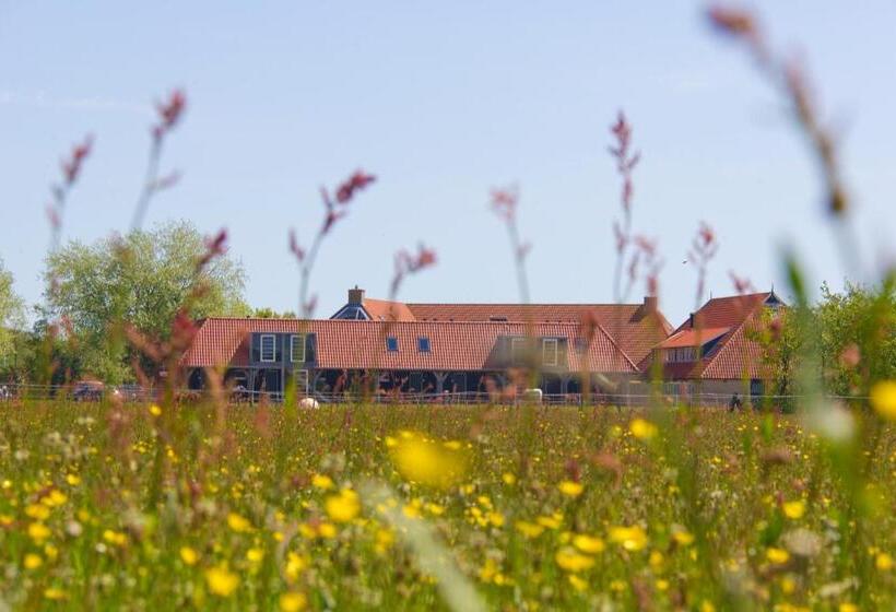 家庭套房, De Walvisvaarder