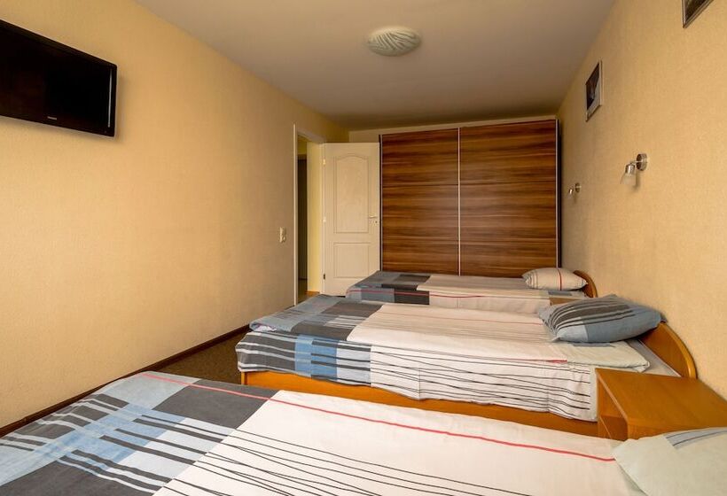 اتاق اکونومی, Sport