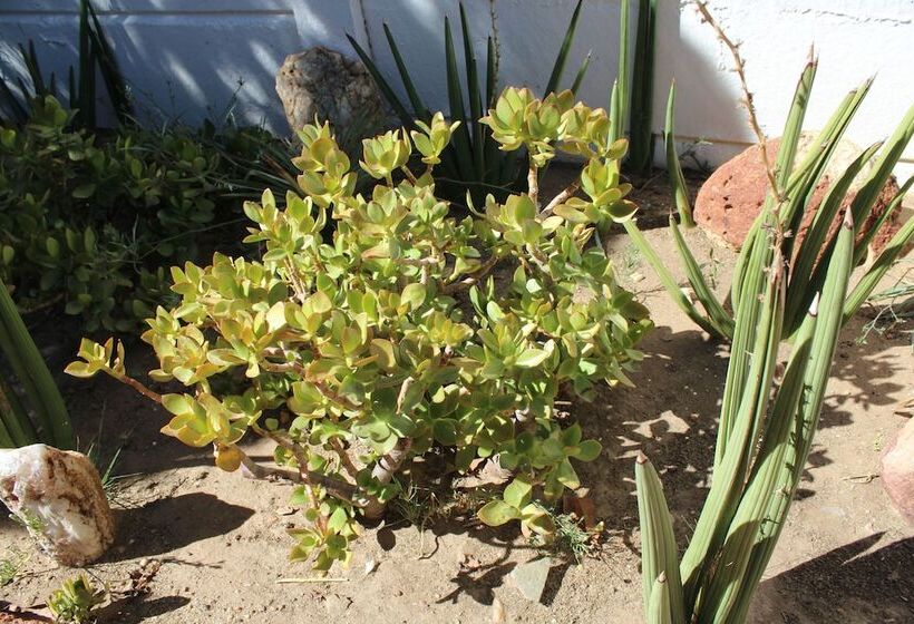 اتاق استاندارد یک نفره, Uhland