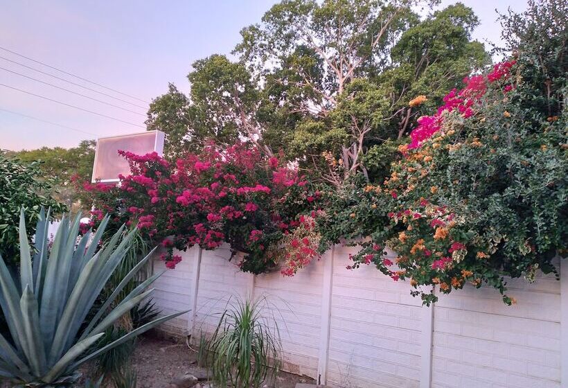 اتاق استاندارد یک نفره, Uhland