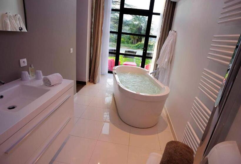 Апартаменты 1 Спальня, Château Clément Teritoria