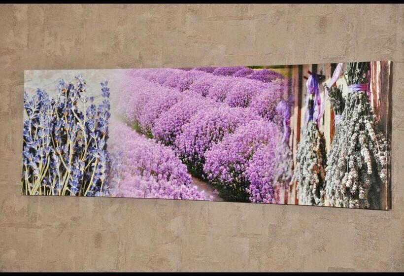 スタンダードトリプルルーム, Select