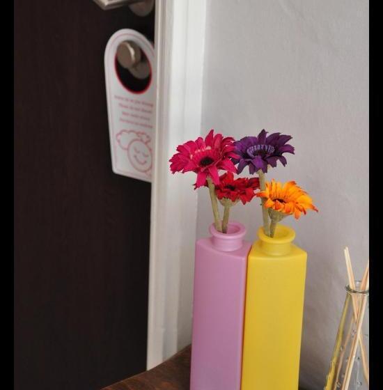 スタンダードルーム, Select