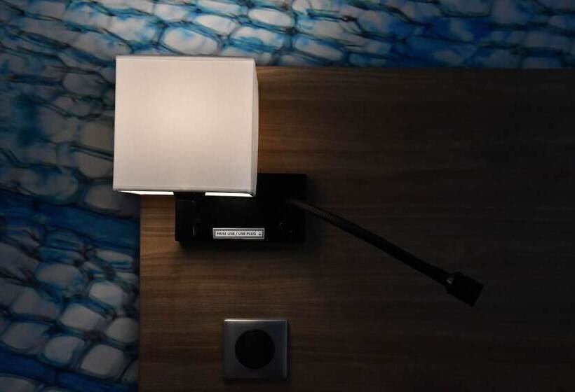 חדר סטודיו סטנדרד, In Situ