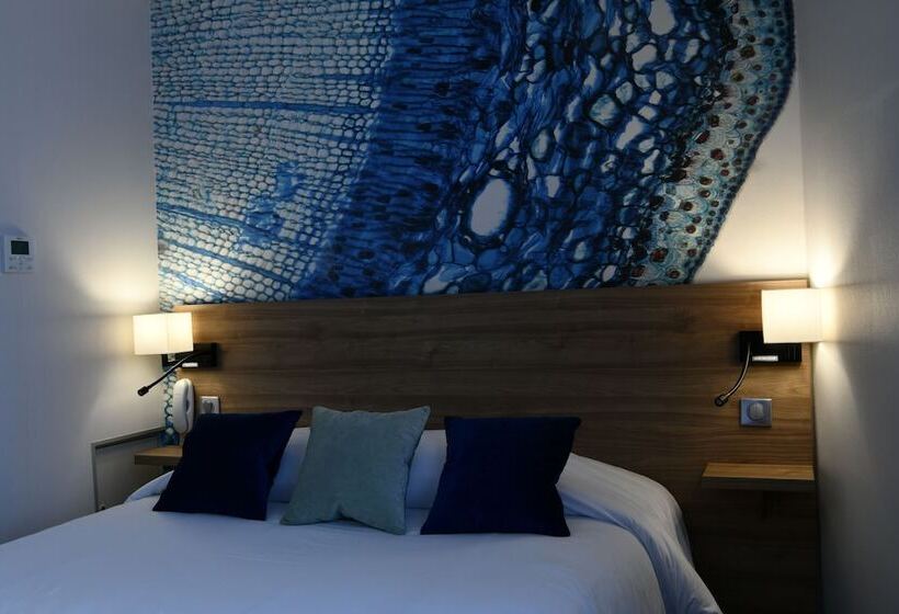 חדר סטודיו סטנדרד, In Situ