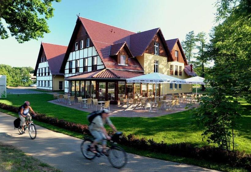 프리미엄 룸, Kur Und Wellnesshaus Spreebalance, The Originals Relais