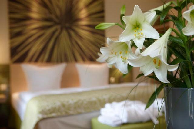 Номер Премиум, Kur Und Wellnesshaus Spreebalance, The Originals Relais