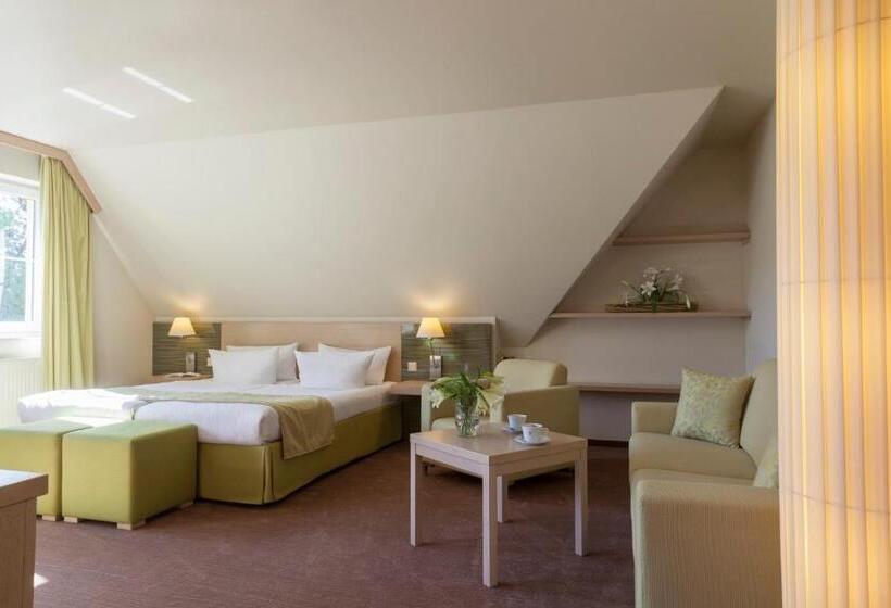 Номер Стандарт, Kur Und Wellnesshaus Spreebalance, The Originals Relais