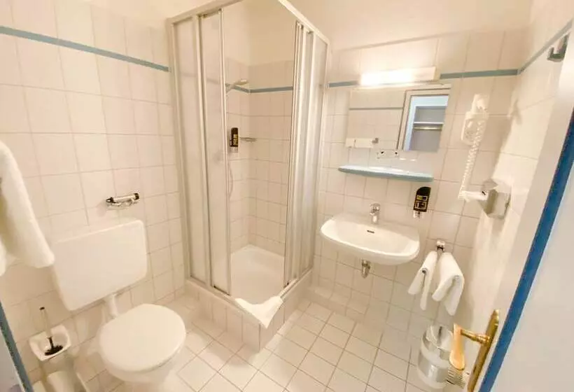 Monolocale Standard, Wikingerhof