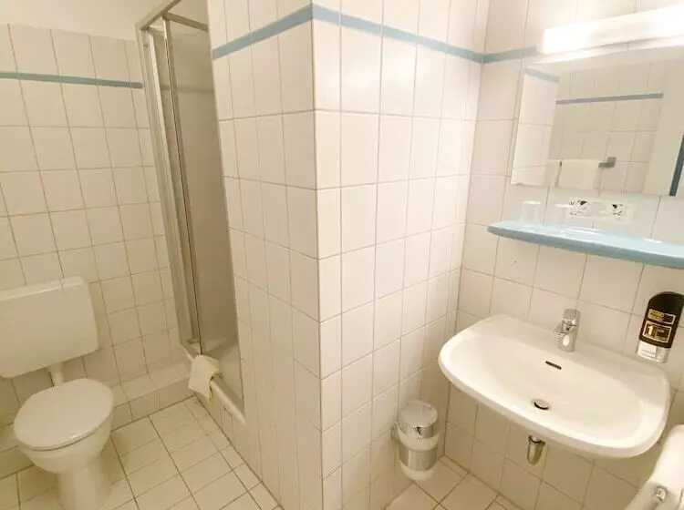 Monolocale Standard, Wikingerhof