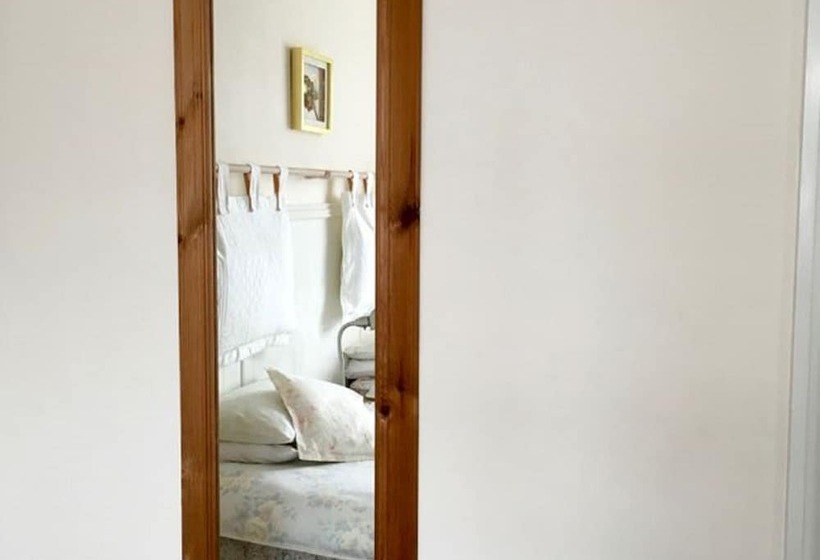 Номер Стандарт, Milka S