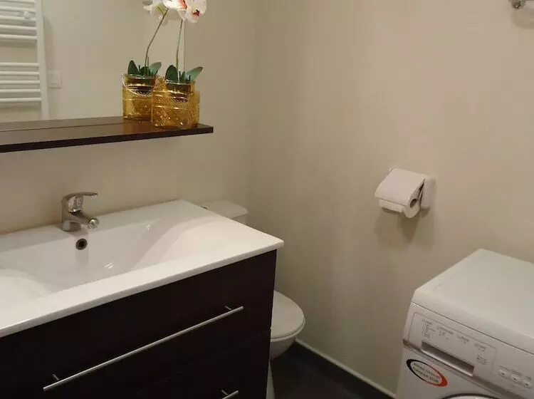 １ベッドルームのスーペリアアパートメント, Residences De Bougainville