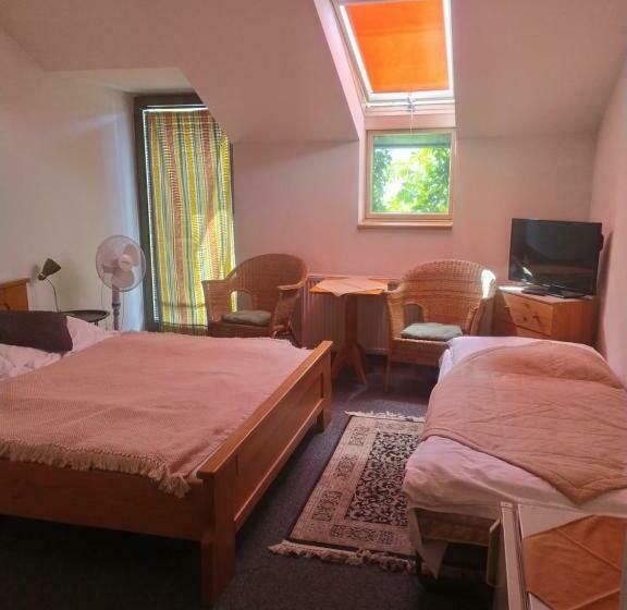 חדר אקונומי, Penzión Malý Dvor