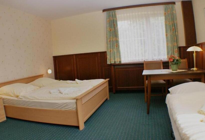 Номер Стандарт, Gasthaus & Hotel Lindenkrug