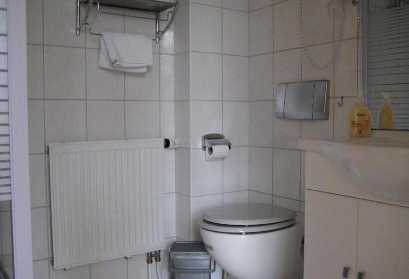 스탠다드 룸, Gesellschaftshaus