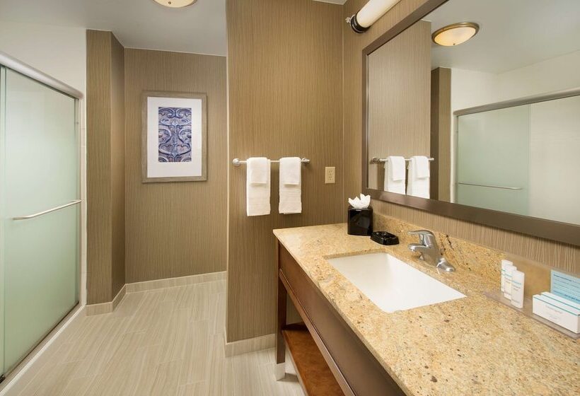 キングサイズベッドのスタンダードルーム, Hampton Inn & Suites San Antoniodowntown/market Square