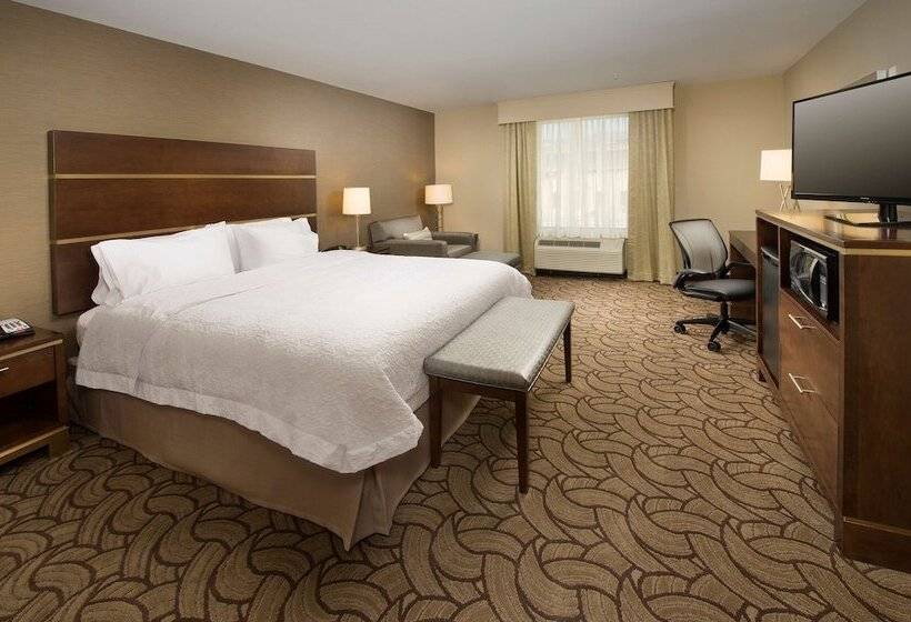 Номер Стандарт Кровать Кинг Адаптированный для Инвалидов, Hampton Inn & Suites San Antoniodowntown/market Square