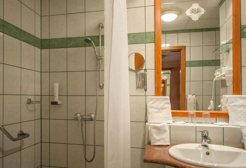 스탠다드 발코니 룸, Spa Hévíz