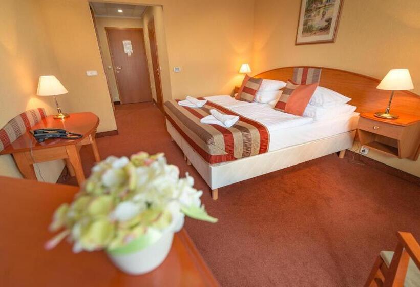 스탠다드 발코니 룸, Spa Hévíz