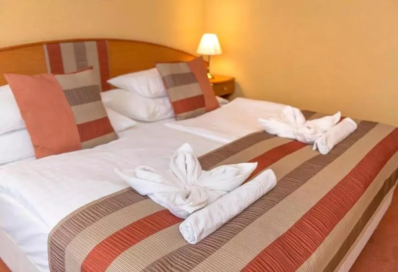 اتاق استاندارد با بالکن, Spa Hévíz