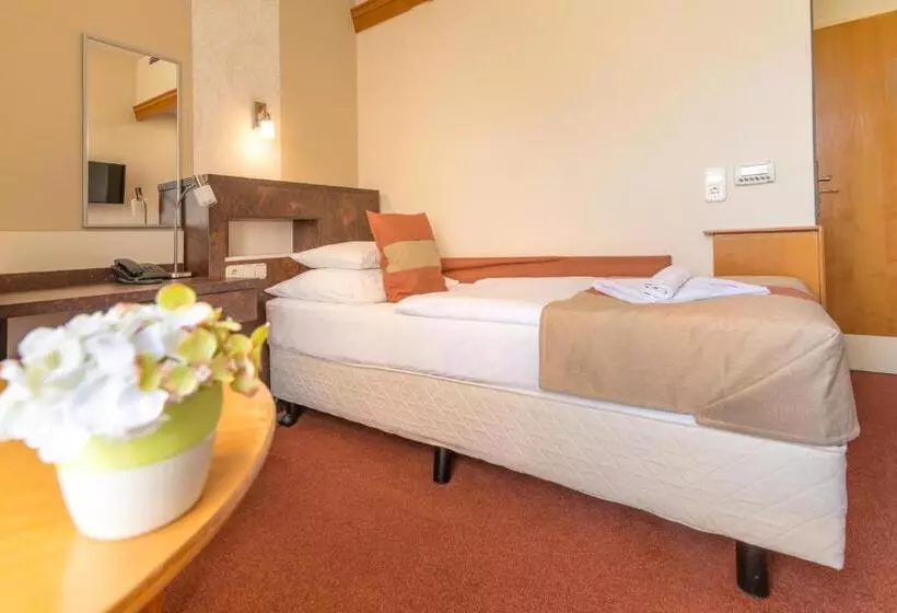 اتاق کلاسیک یک تخته, Spa Hévíz